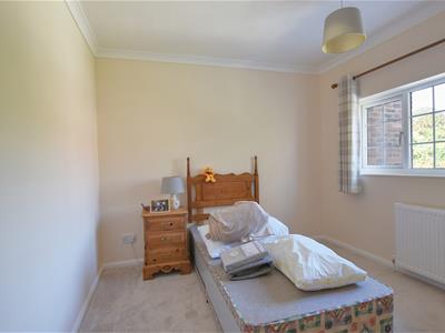 Picture 11